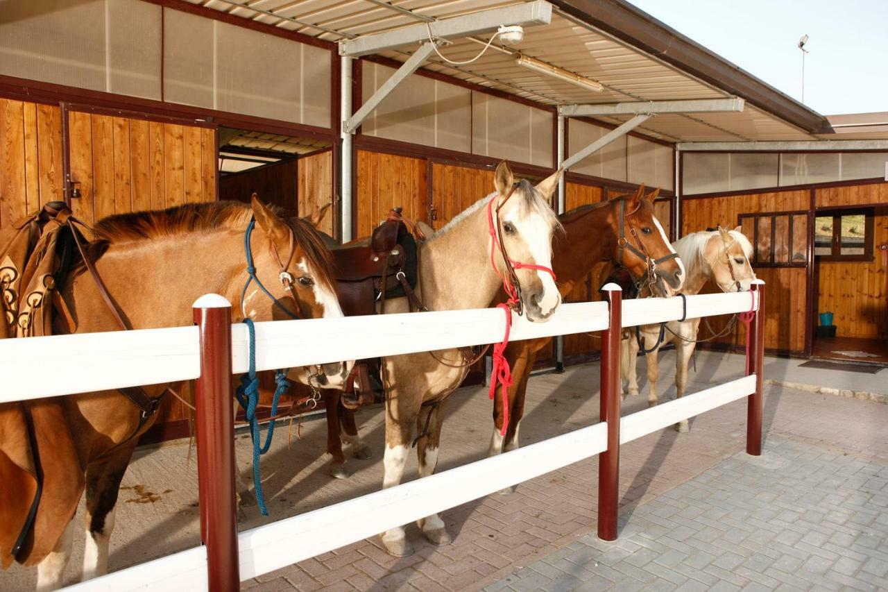 B&B Le Corone Cavalo Exterior foto
